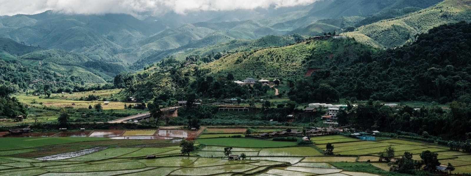 Valle di risaie tra le montagne del nord della Thailandia